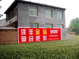 石屏如何让墙体广告展现最大化效果